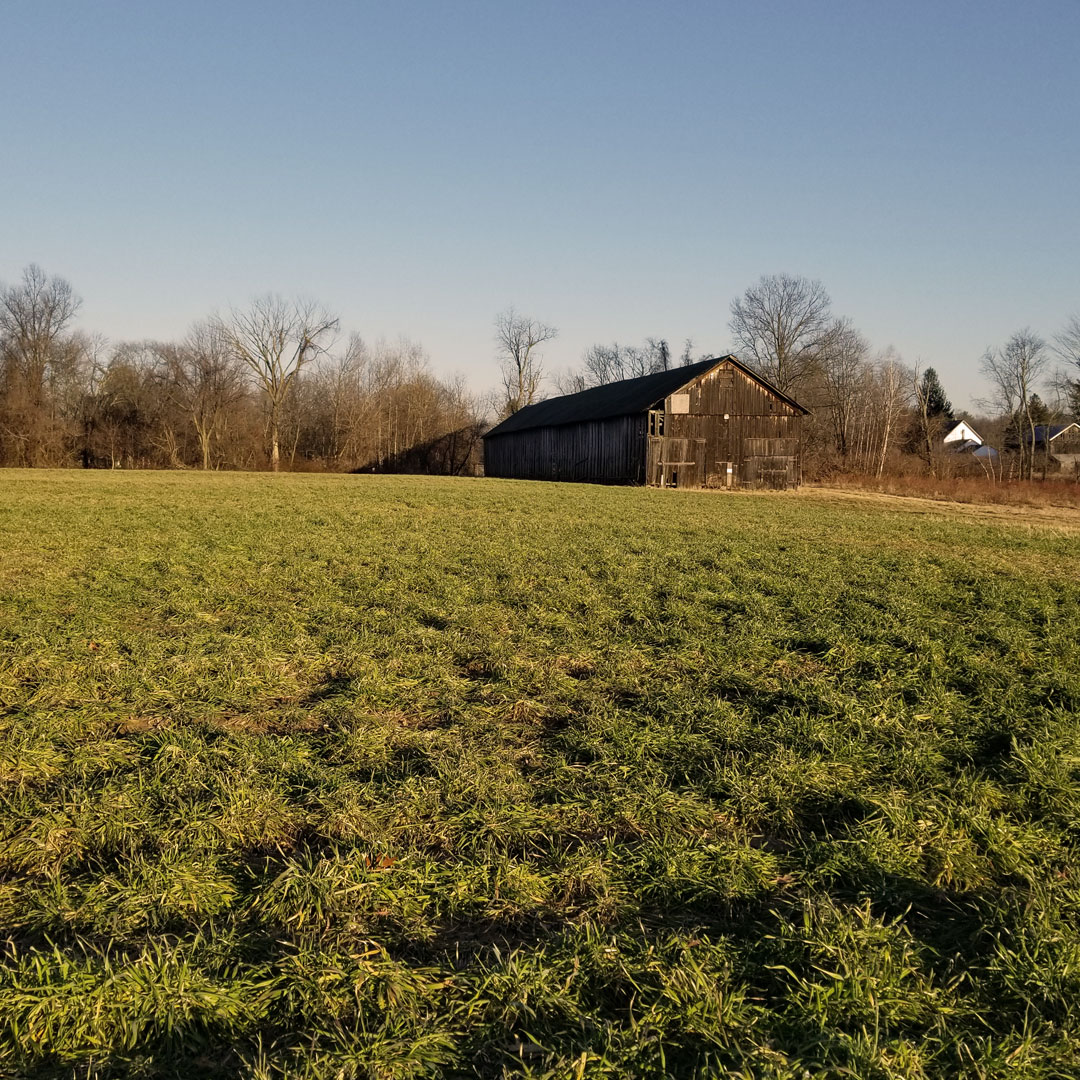Lanz Hollow Farmland With Barn