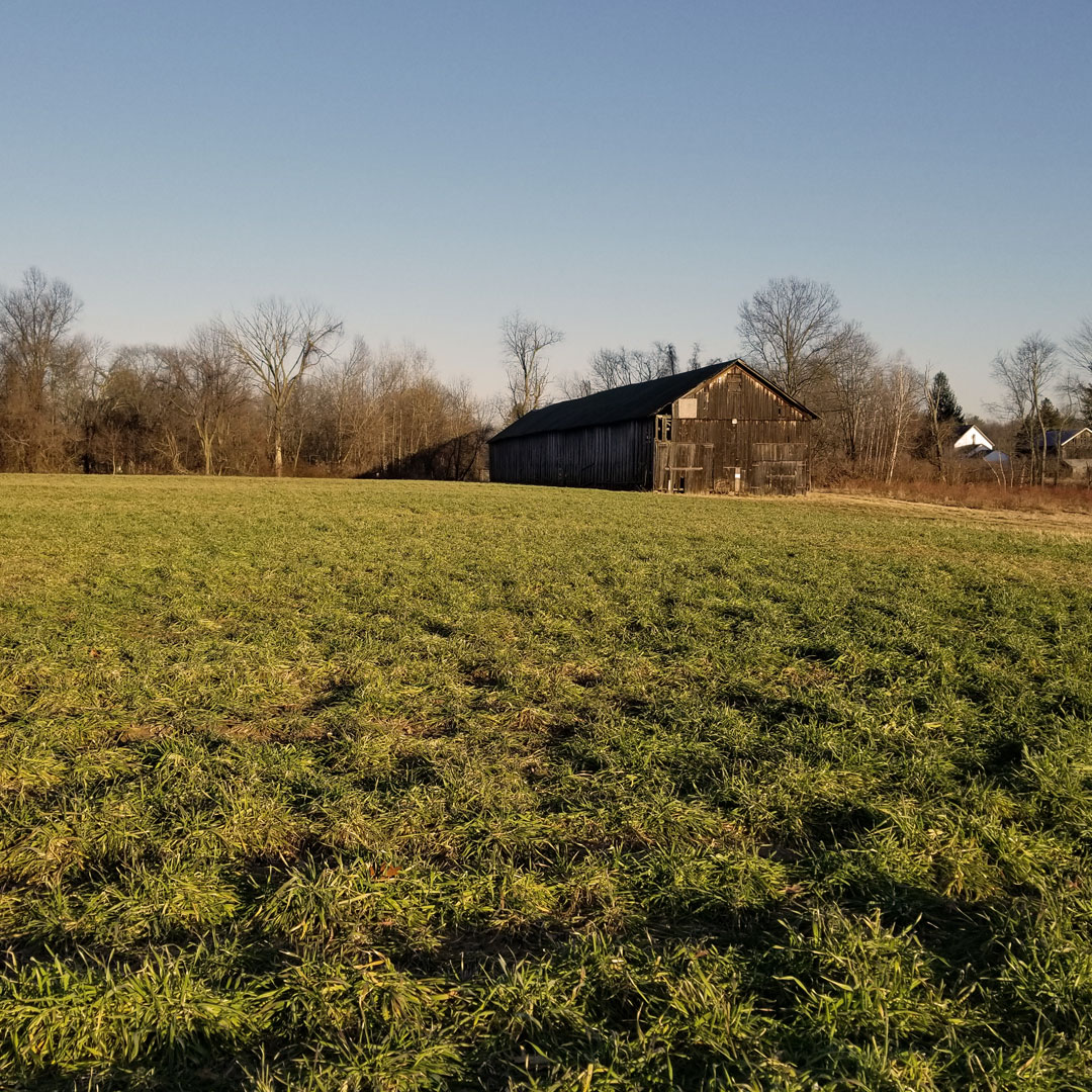 Lanz Hollow Farmland With Barn